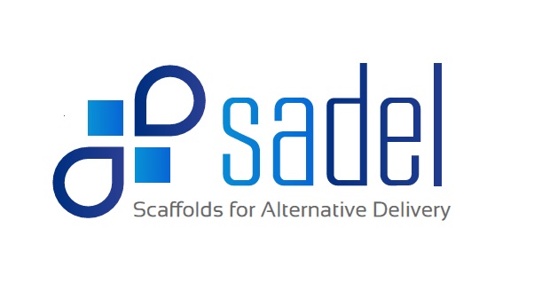 SADEL Logo