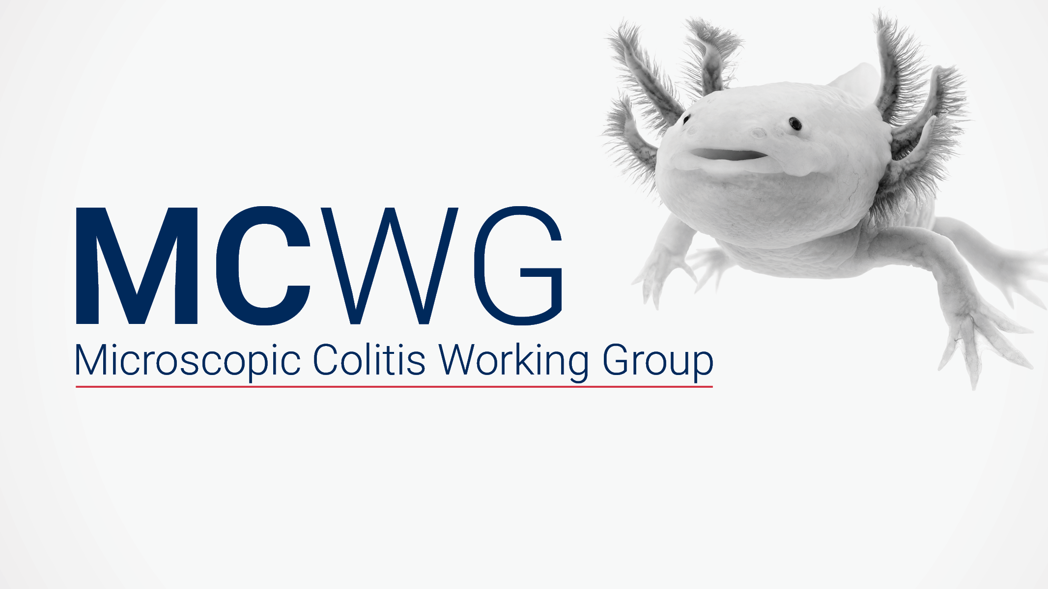 ClinCom logo with a leopard in the background