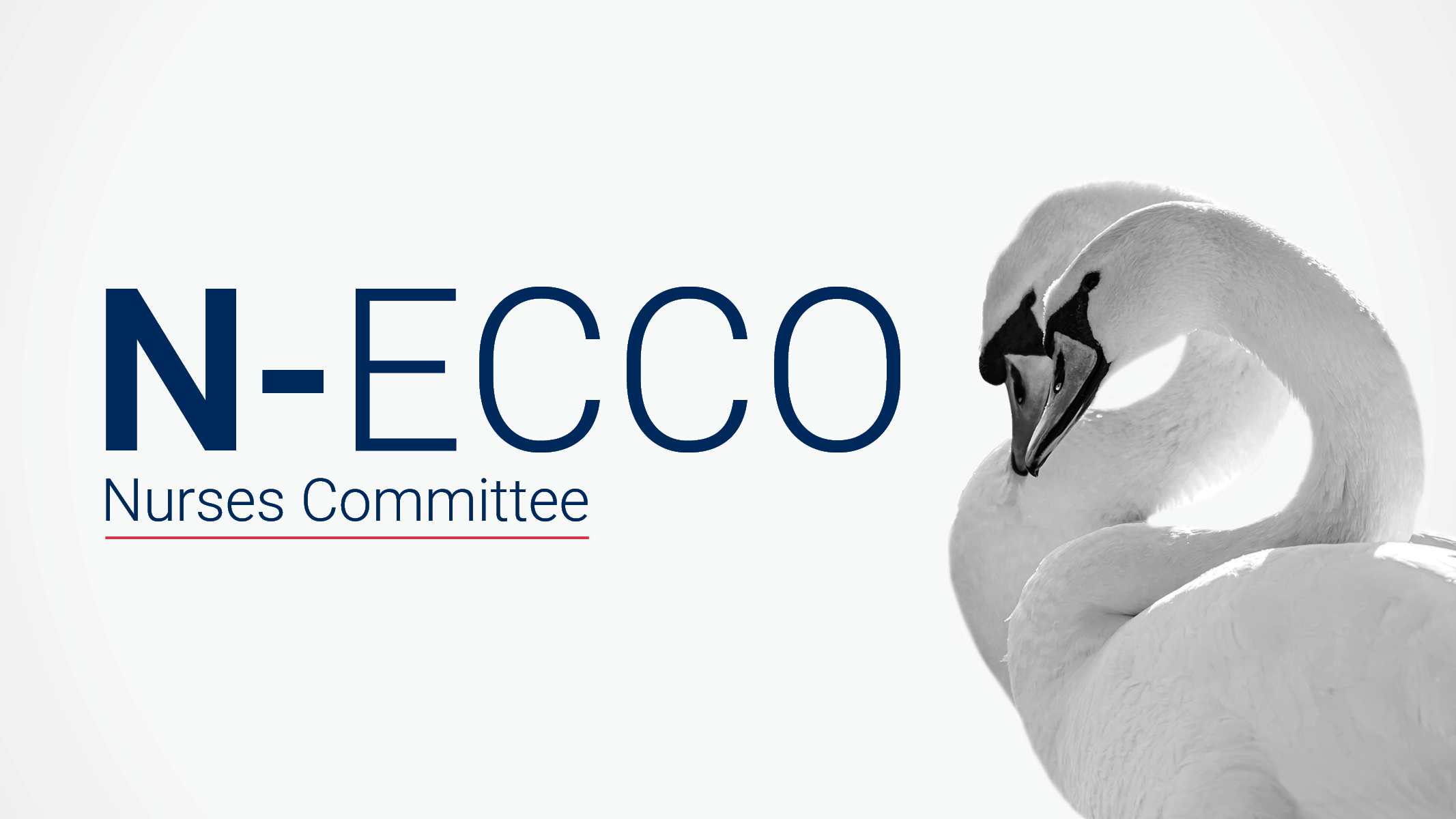 N-ECCO logo with two swans in the background