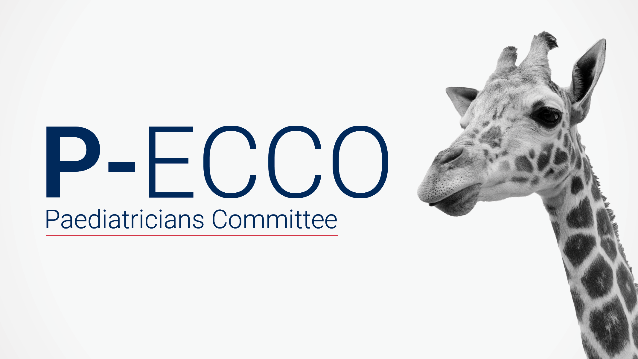 P-ECCO logo with a giraffe in the background